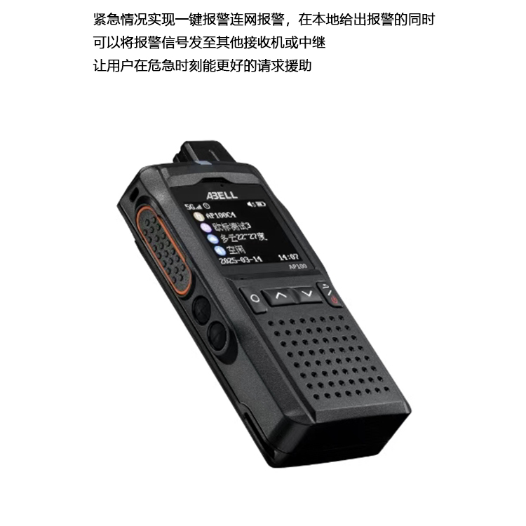 欧标插卡手持机AP100pro